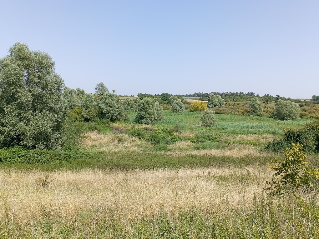 Le marais de Varize